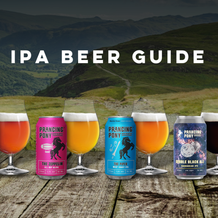 IPA Beer – An Ultimate Guide For Beginners